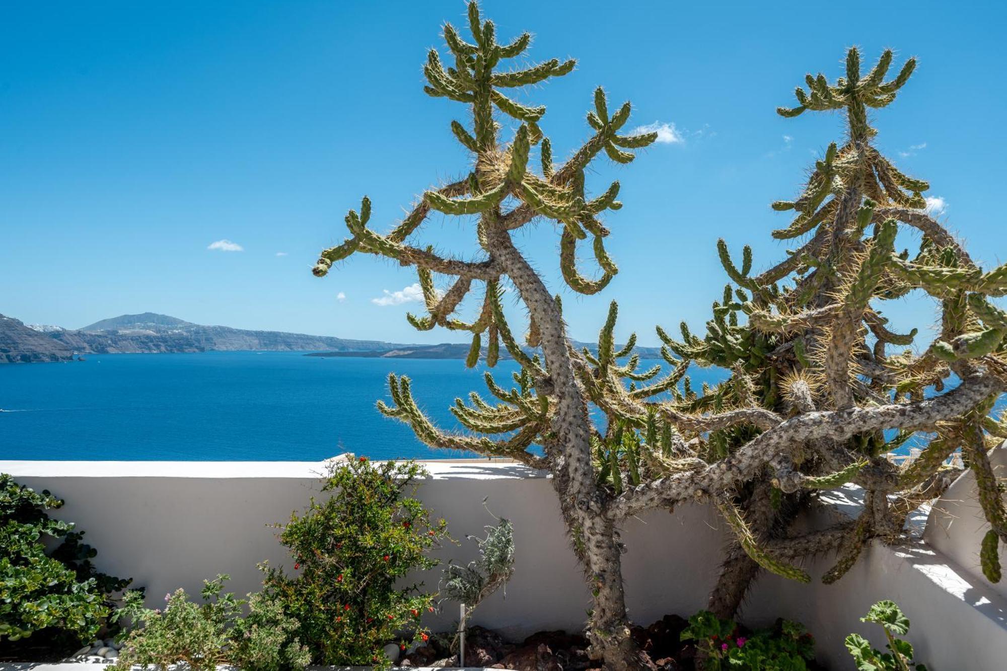 Passion Blue Villas Oía Buitenkant foto
